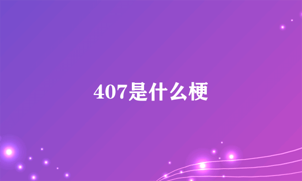 407是什么梗