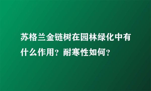 苏格兰金链树在园林绿化中有什么作用？耐寒性如何？