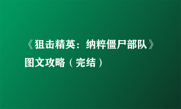 《狙击精英：纳粹僵尸部队》图文攻略（完结）