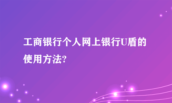 工商银行个人网上银行U盾的使用方法?