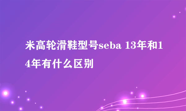 米高轮滑鞋型号seba 13年和14年有什么区别