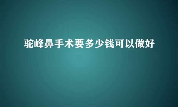 驼峰鼻手术要多少钱可以做好