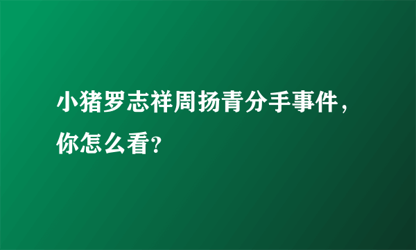 小猪罗志祥周扬青分手事件，你怎么看？