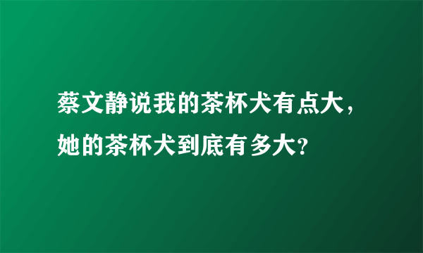 蔡文静说我的茶杯犬有点大，她的茶杯犬到底有多大？