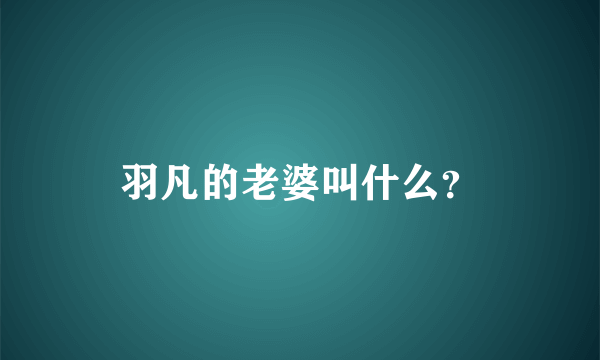 羽凡的老婆叫什么？