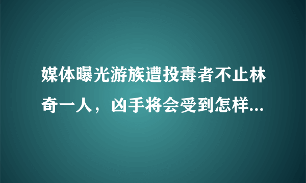 媒体曝光游族遭投毒者不止林奇一人，凶手将会受到怎样的法律制裁？