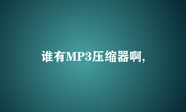 谁有MP3压缩器啊,