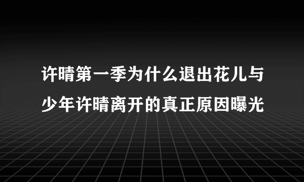 许晴第一季为什么退出花儿与少年许晴离开的真正原因曝光