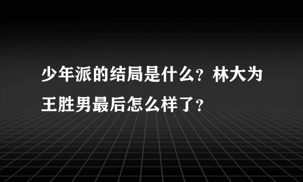 少年派的结局是什么？林大为王胜男最后怎么样了？