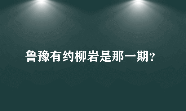 鲁豫有约柳岩是那一期？