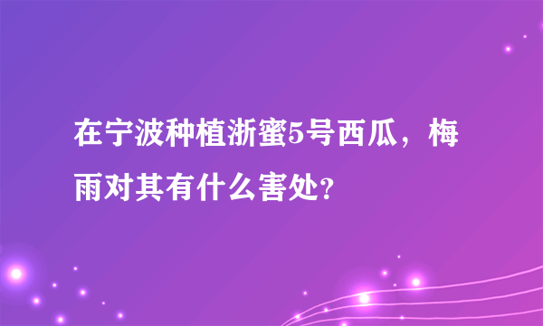 在宁波种植浙蜜5号西瓜，梅雨对其有什么害处？