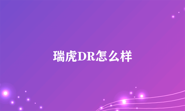 瑞虎DR怎么样