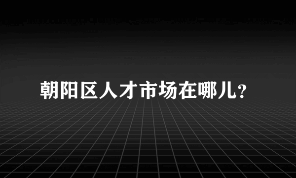 朝阳区人才市场在哪儿？