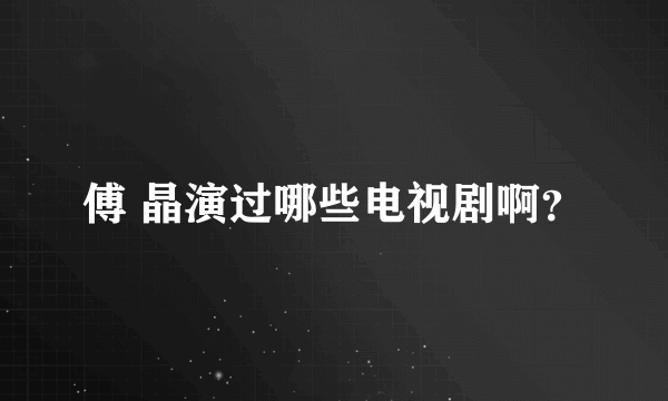 傅 晶演过哪些电视剧啊？