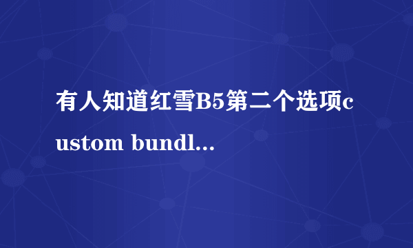 有人知道红雪B5第二个选项custom bundle的意思吗？