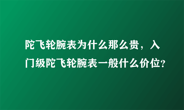 陀飞轮腕表为什么那么贵，入门级陀飞轮腕表一般什么价位？