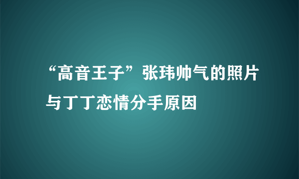 “高音王子”张玮帅气的照片 与丁丁恋情分手原因