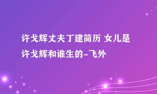 许戈辉丈夫丁建简历 女儿是许戈辉和谁生的-飞外