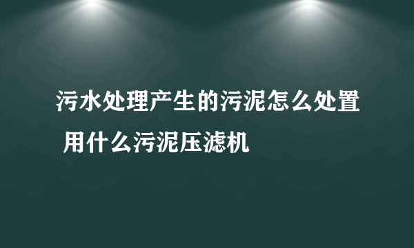 污水处理产生的污泥怎么处置 用什么污泥压滤机