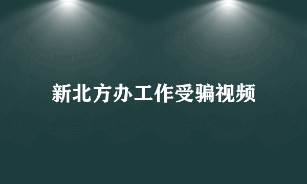 新北方办工作受骗视频