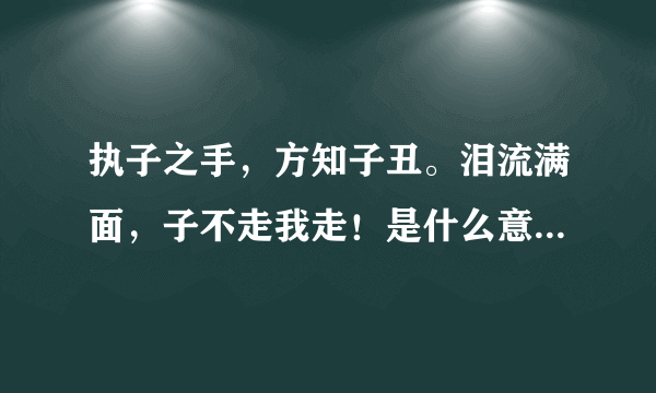 执子之手，方知子丑。泪流满面，子不走我走！是什么意思啊？求解答！