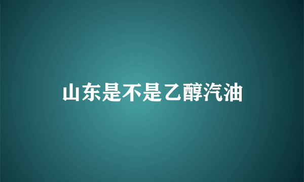 山东是不是乙醇汽油