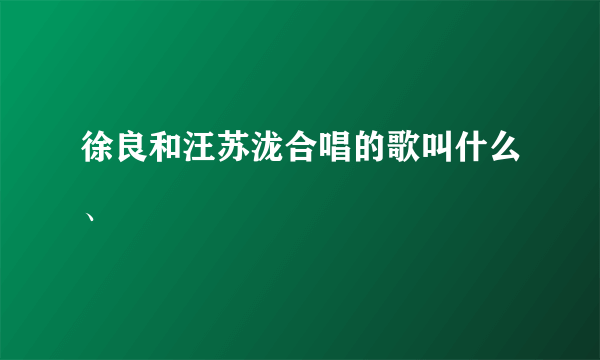 徐良和汪苏泷合唱的歌叫什么、