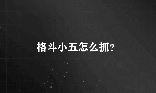 格斗小五怎么抓？