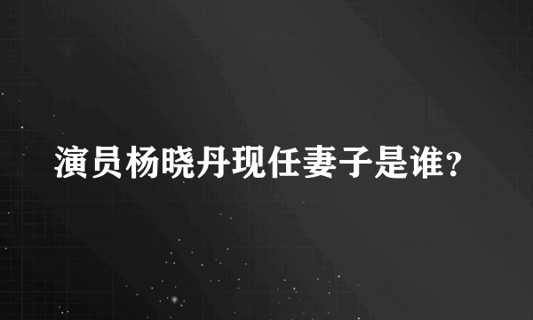 演员杨晓丹现任妻子是谁？