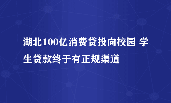 湖北100亿消费贷投向校园 学生贷款终于有正规渠道