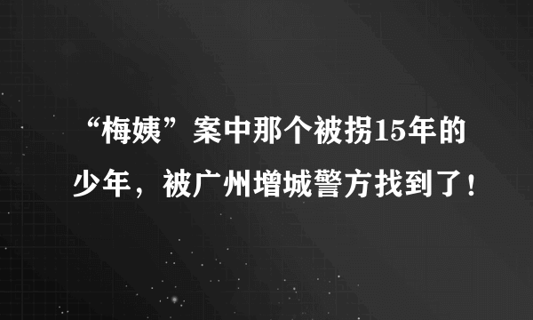 “梅姨”案中那个被拐15年的少年，被广州增城警方找到了！