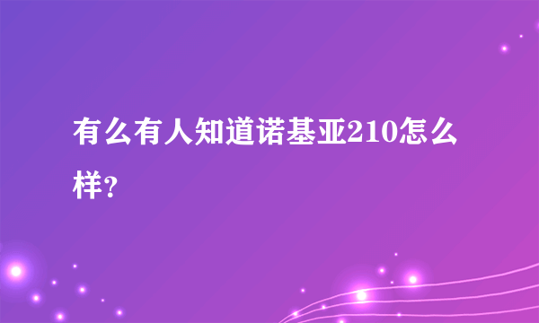 有么有人知道诺基亚210怎么样？