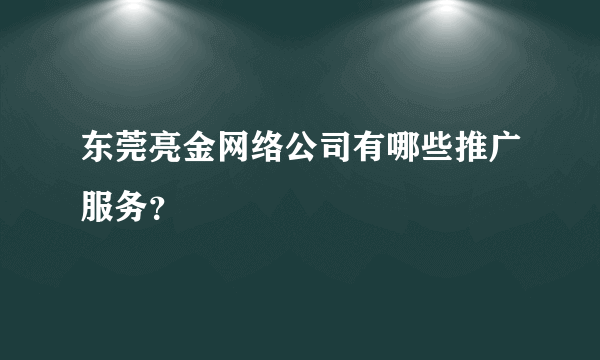 东莞亮金网络公司有哪些推广服务？