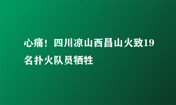 心痛！四川凉山西昌山火致19名扑火队员牺牲