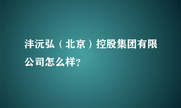 沣沅弘（北京）控股集团有限公司怎么样？