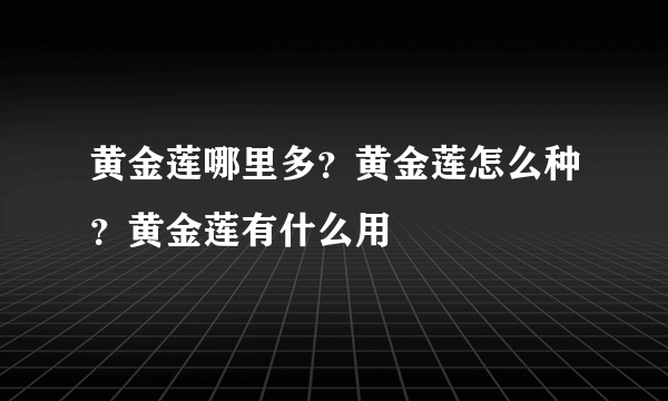 黄金莲哪里多？黄金莲怎么种？黄金莲有什么用