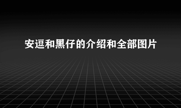 安逗和黑仔的介绍和全部图片