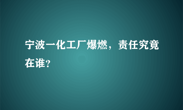 宁波一化工厂爆燃，责任究竟在谁？