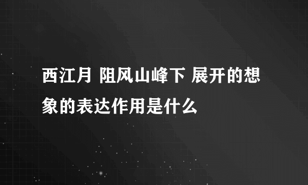 西江月 阻风山峰下 展开的想象的表达作用是什么