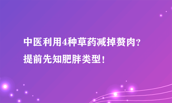 中医利用4种草药减掉赘肉？提前先知肥胖类型！