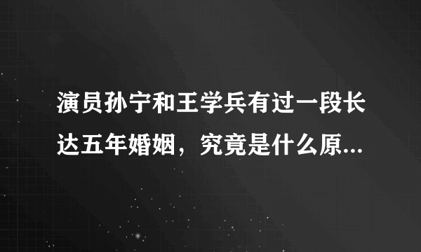 演员孙宁和王学兵有过一段长达五年婚姻，究竟是什么原因导致两人分手？