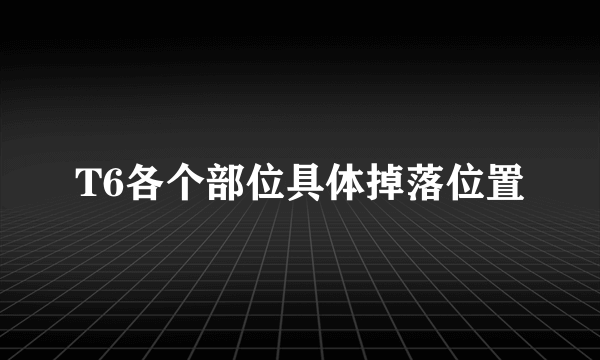 T6各个部位具体掉落位置