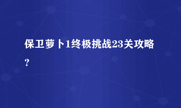 保卫萝卜1终极挑战23关攻略？