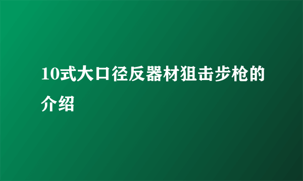 10式大口径反器材狙击步枪的介绍