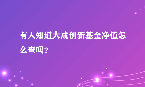 有人知道大成创新基金净值怎么查吗？