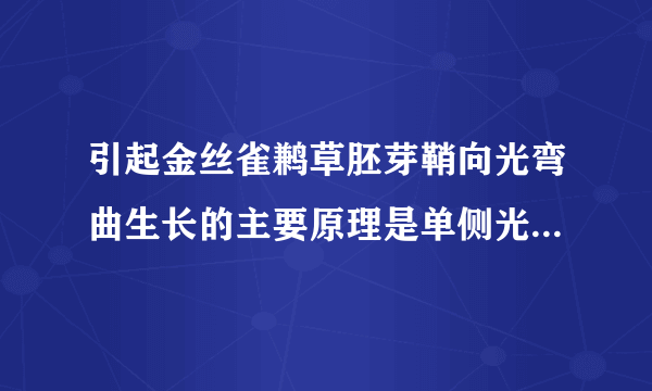 引起金丝雀鹣草胚芽鞘向光弯曲生长的主要原理是单侧光照会引起A。生长素合成增多            B。生长素横向运输C。生长素分解增多            D。生长素极性运输加强