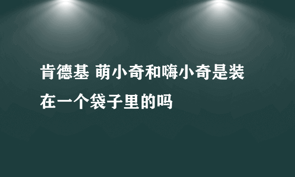 肯德基 萌小奇和嗨小奇是装在一个袋子里的吗