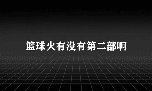 篮球火有没有第二部啊