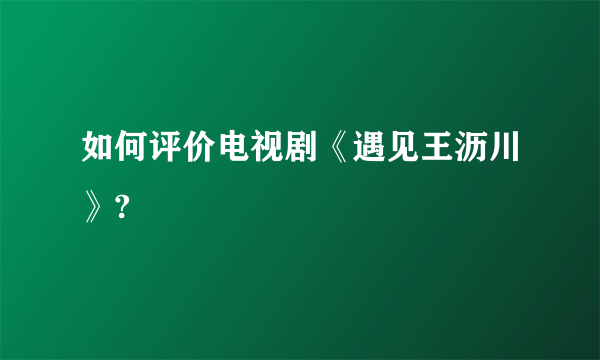 如何评价电视剧《遇见王沥川》?