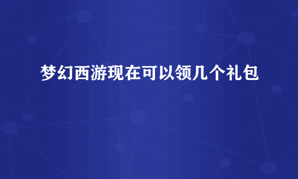 梦幻西游现在可以领几个礼包